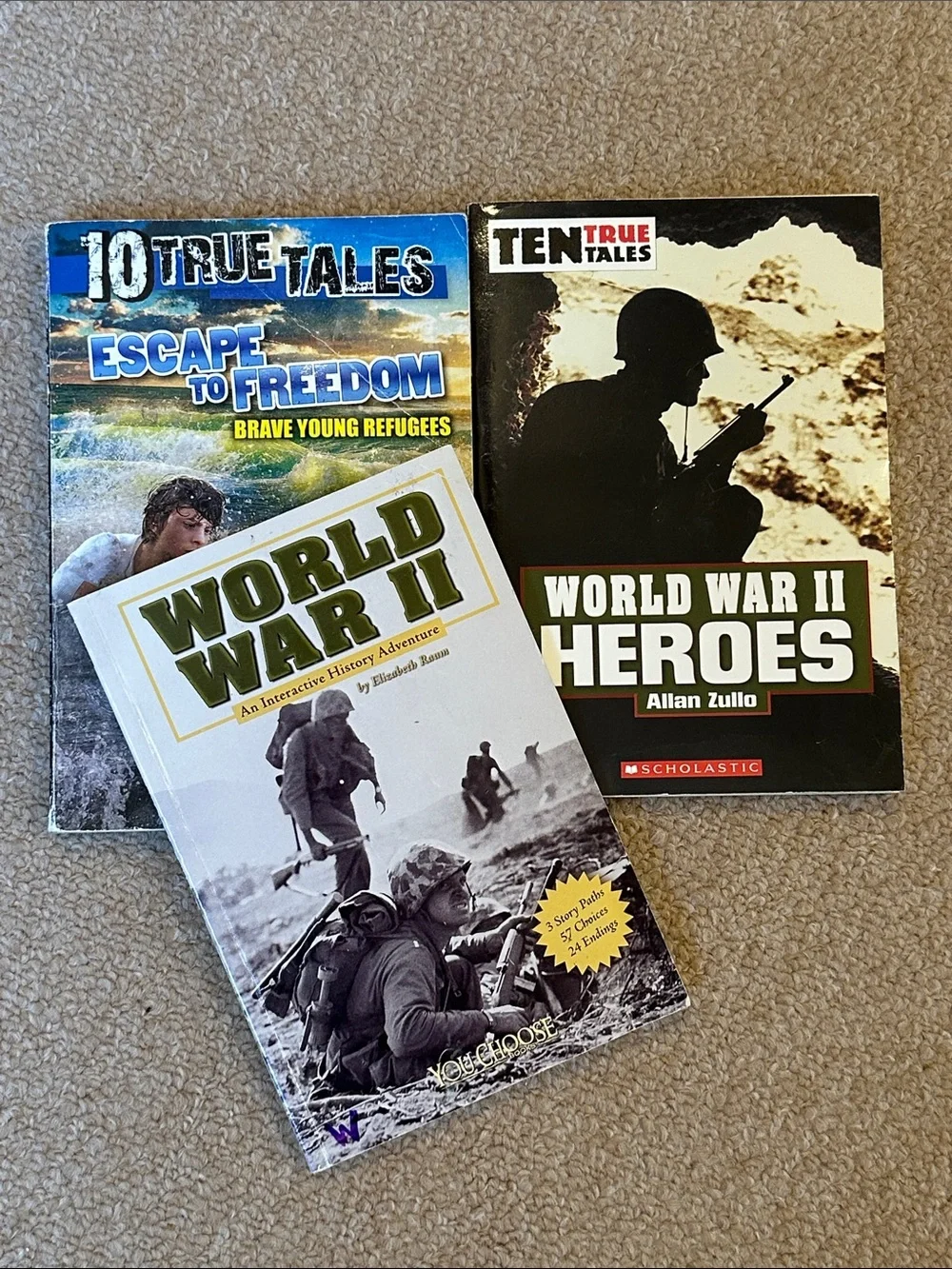 Set of 3 History Books School Homeschool Teacher WW2 10 True Tales READ DESCRIP